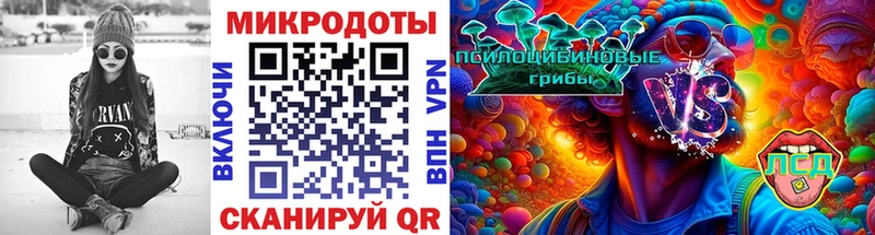 Галлюциногенные грибы Cubensis  Карачев 
